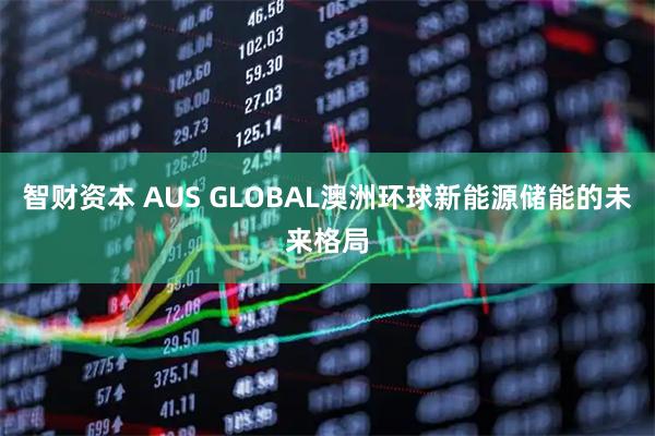 智财资本 AUS GLOBAL澳洲环球新能源储能的未来格局